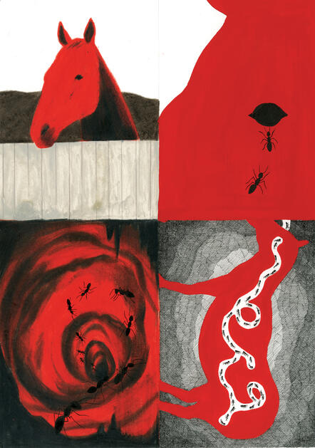 Collaboration with Antton Ospitaletche 1, for Hippocampe magazine, 2025